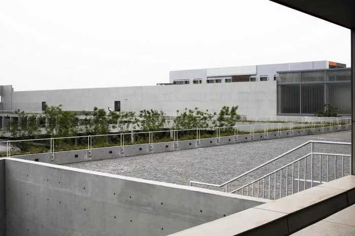 BIM建筑|沧州明珠国际服饰生态新城会客中心 / 上海严旸建筑设计工作室