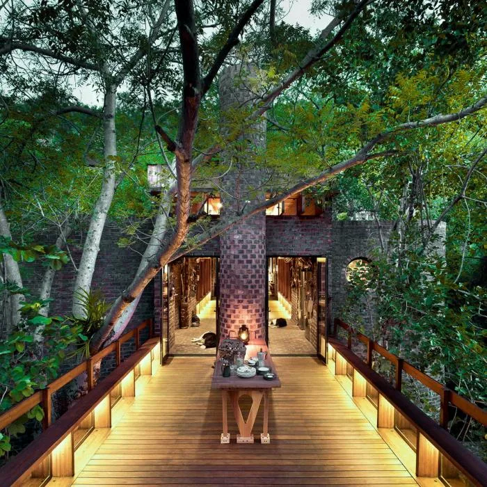 BIM建筑|清幽简居，消隐于森林：南非狭长之宅