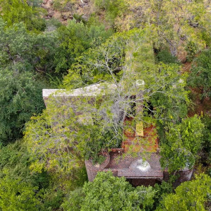 BIM建筑|清幽简居，消隐于森林：南非狭长之宅