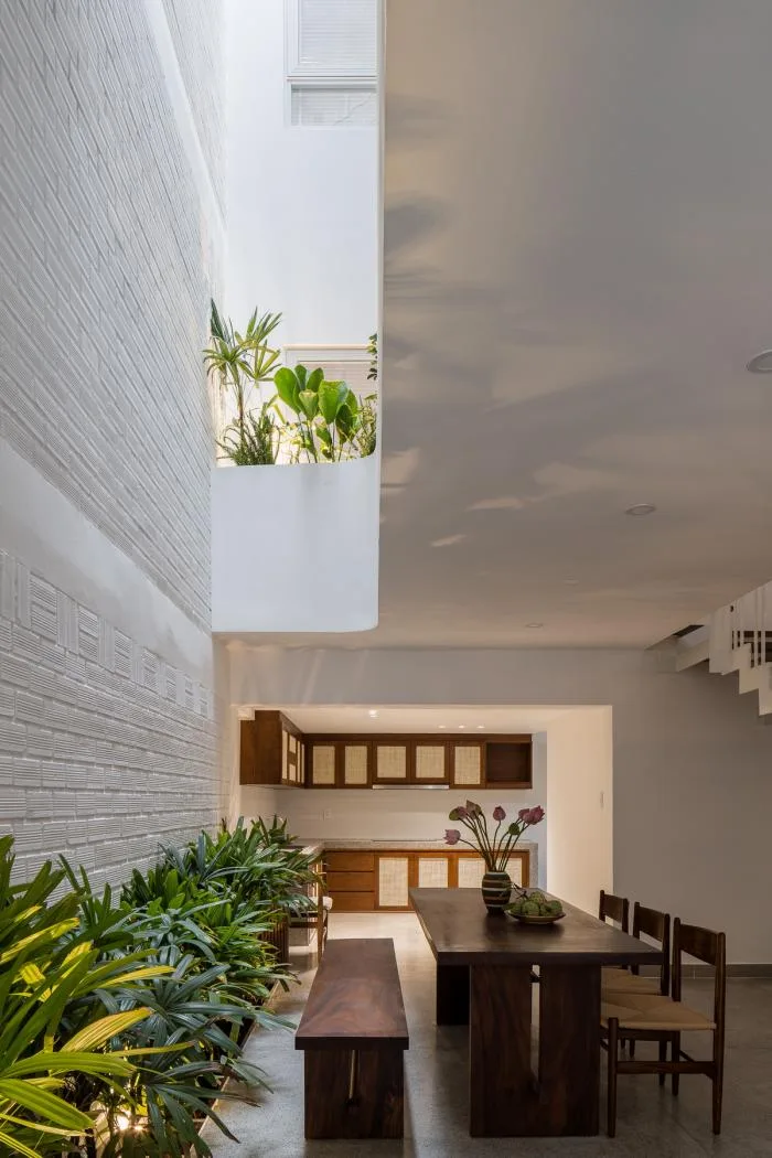 BIM建筑|绿植点缀垂直天井，活力与静谧美感的平衡：越南V别墅