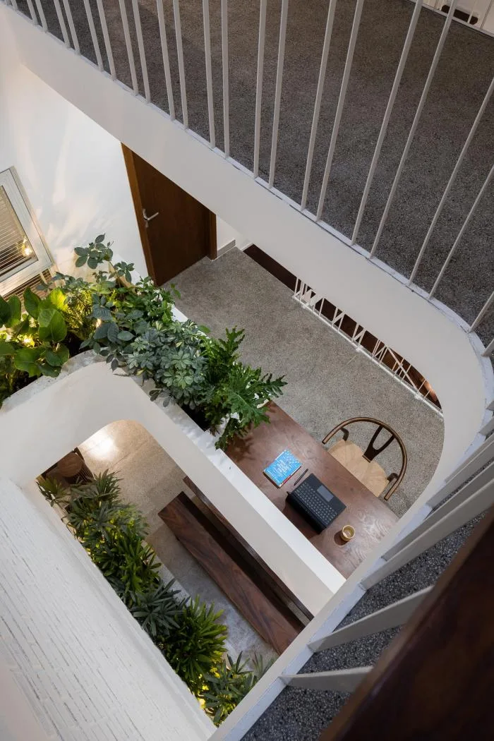BIM建筑|绿植点缀垂直天井，活力与静谧美感的平衡：越南V别墅