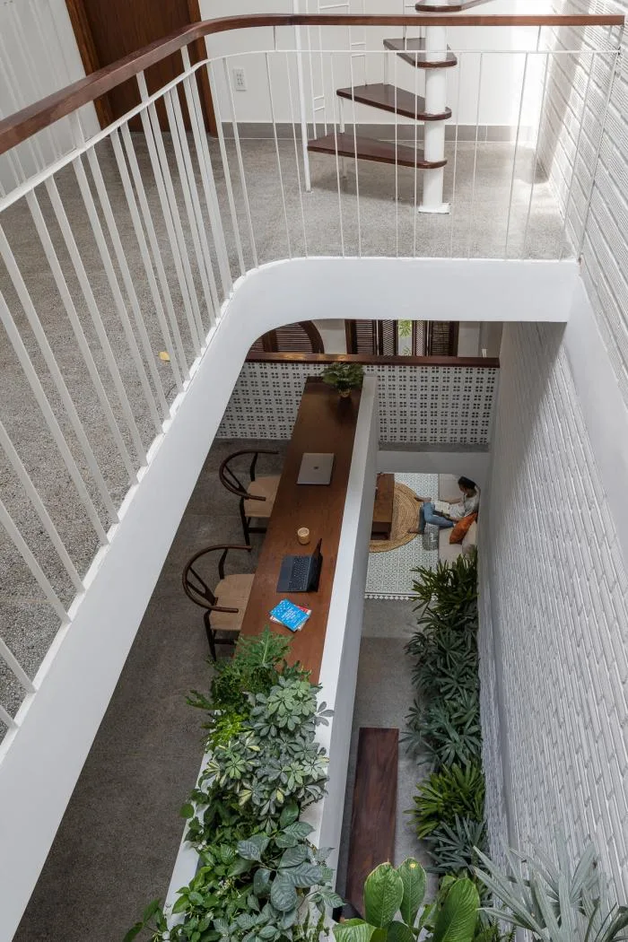 BIM建筑|绿植点缀垂直天井，活力与静谧美感的平衡：越南V别墅