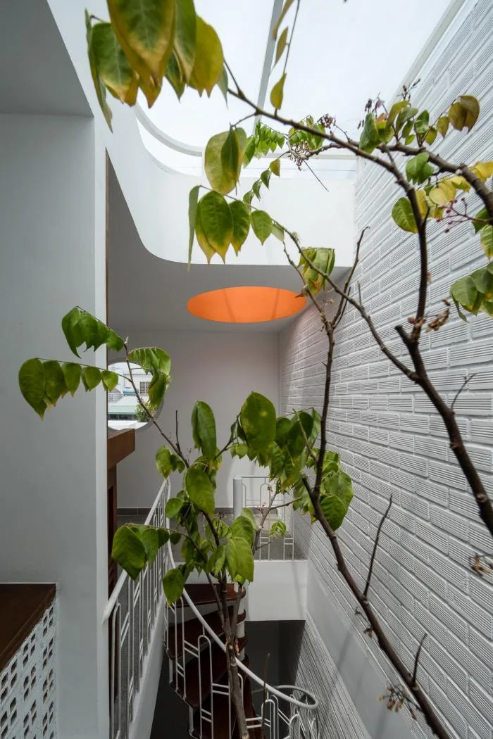BIM建筑|绿植点缀垂直天井，活力与静谧美感的平衡：越南V别墅