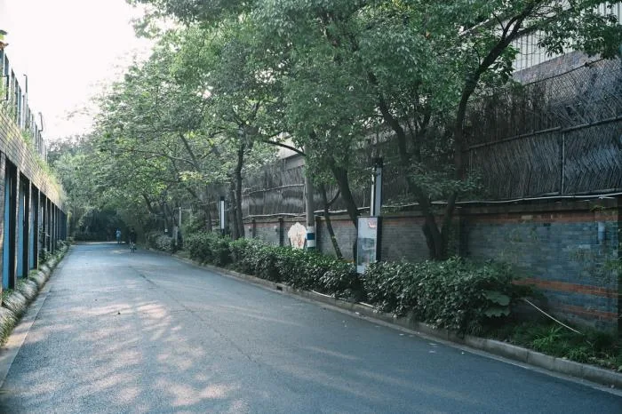 BIM建筑|上海街道适应性改造纪实 / 予舍予筑