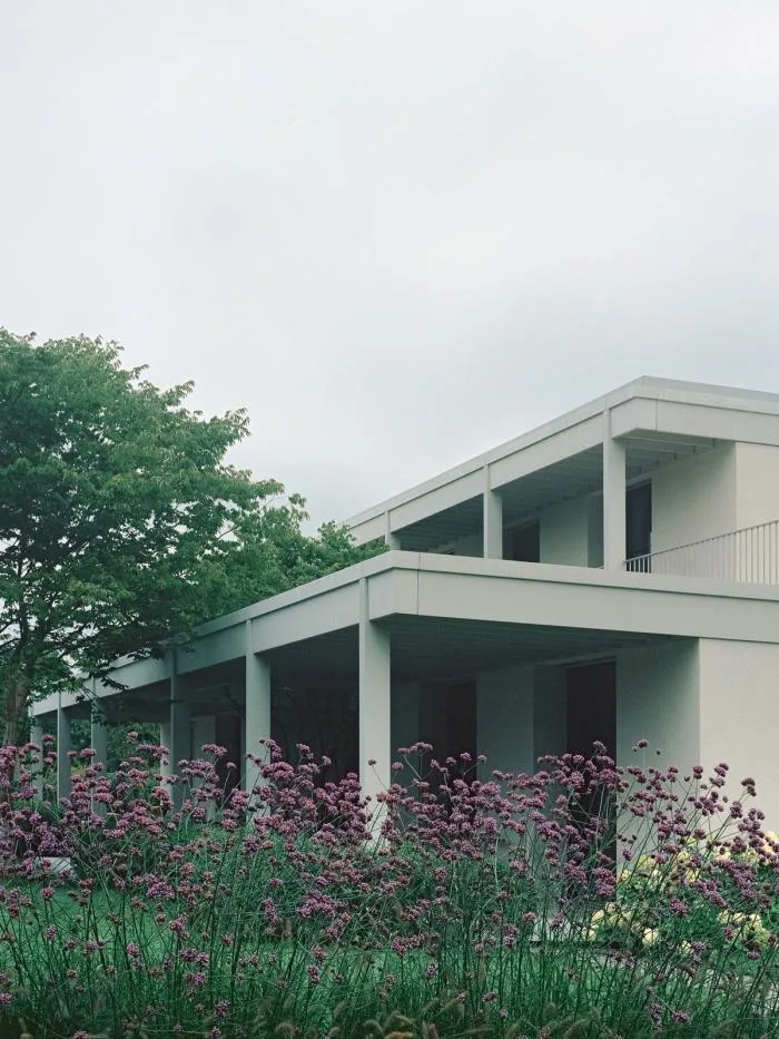 BIM建筑|苏黎世葡萄园住宅，伫于世外隐居之境 / Think Architecture
