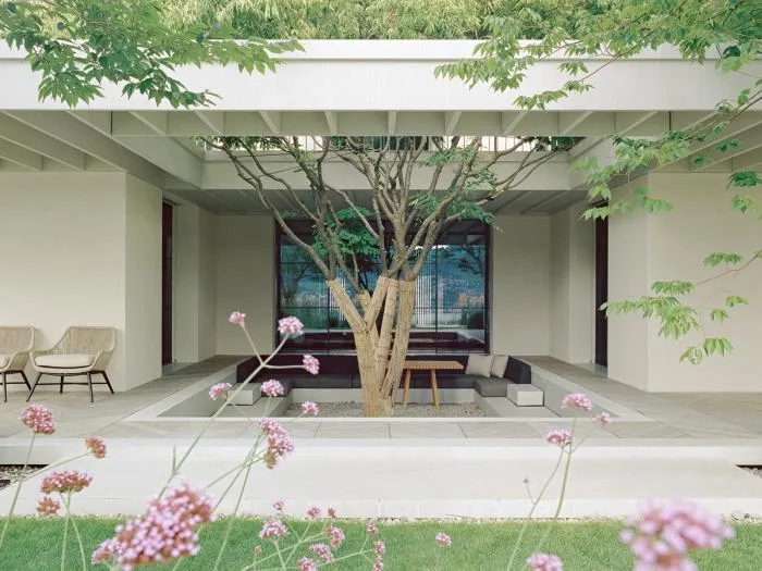 BIM建筑|苏黎世葡萄园住宅，伫于世外隐居之境 / Think Architecture
