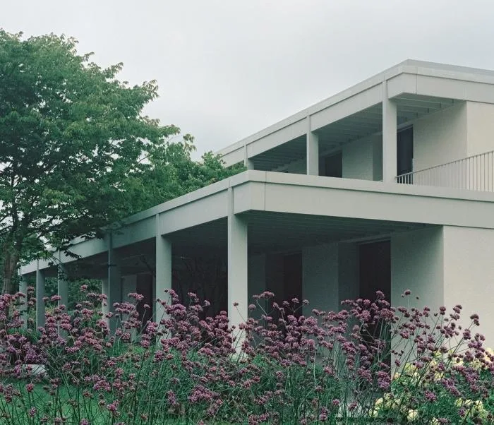 BIM建筑|苏黎世葡萄园住宅，伫于世外隐居之境 / Think Architecture