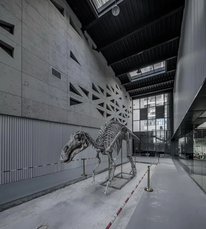 BIM建筑|福建省英良石材自然历史博物馆 / 时境建筑