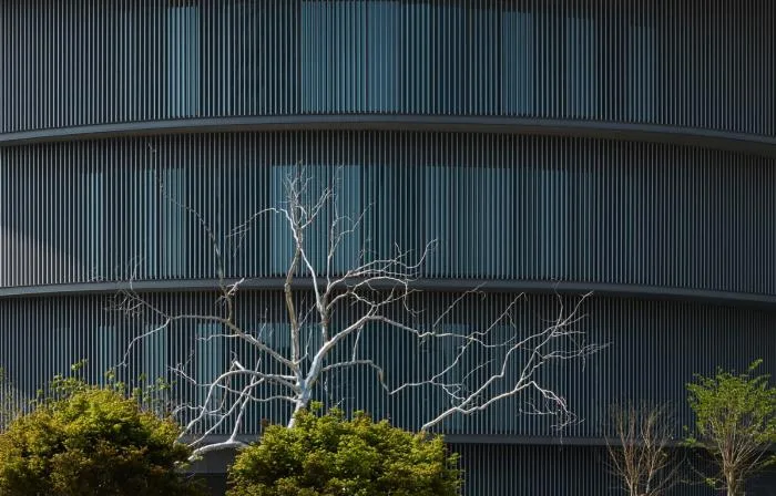 BIM建筑|安藤忠雄“和美术馆”将于国庆开放：岭南文化与空间融合