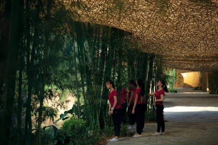 BIM建筑|竹林亭台楼阁 / 叙向建筑设计