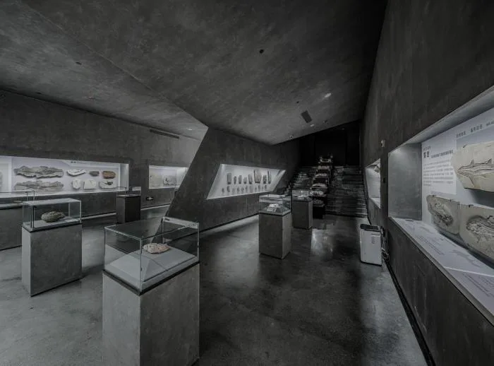 BIM建筑|福建省英良石材自然历史博物馆 / 时境建筑