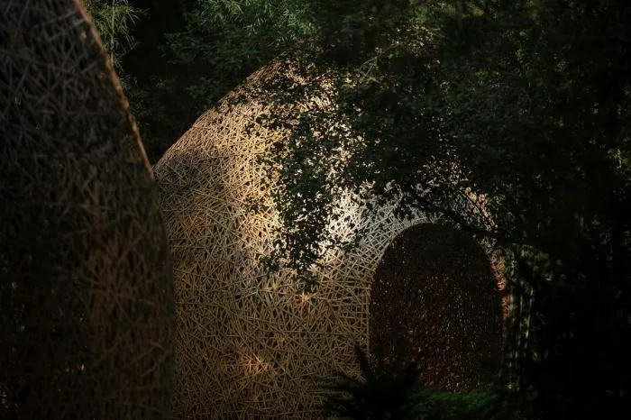BIM建筑|竹林亭台楼阁 / 叙向建筑设计