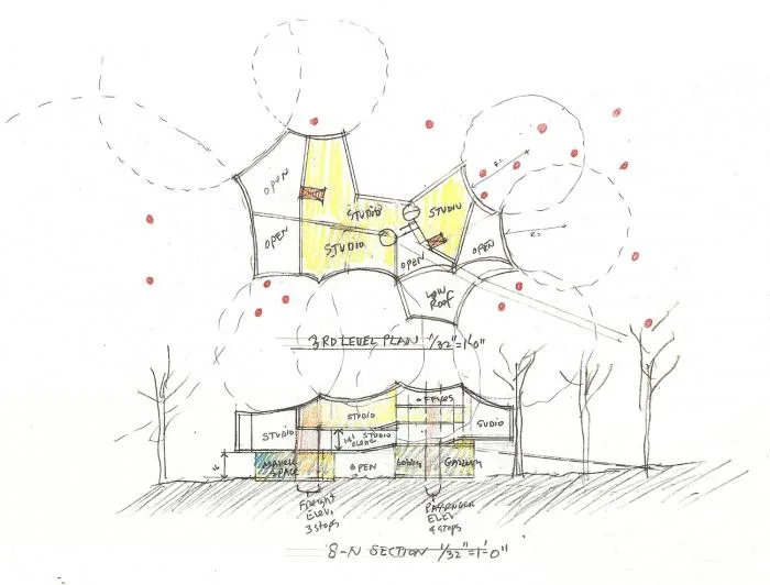 BIM建筑|轻盈飞动，绕古树而生，温特视觉艺术楼 / 斯蒂文·霍尔建筑事务所