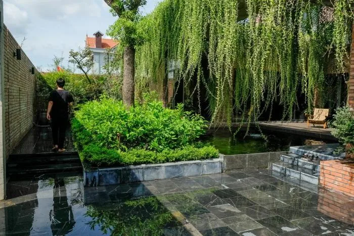 BIM建筑|闲赏庭院，静观游鱼：越南绿幕住宅 / HGAA