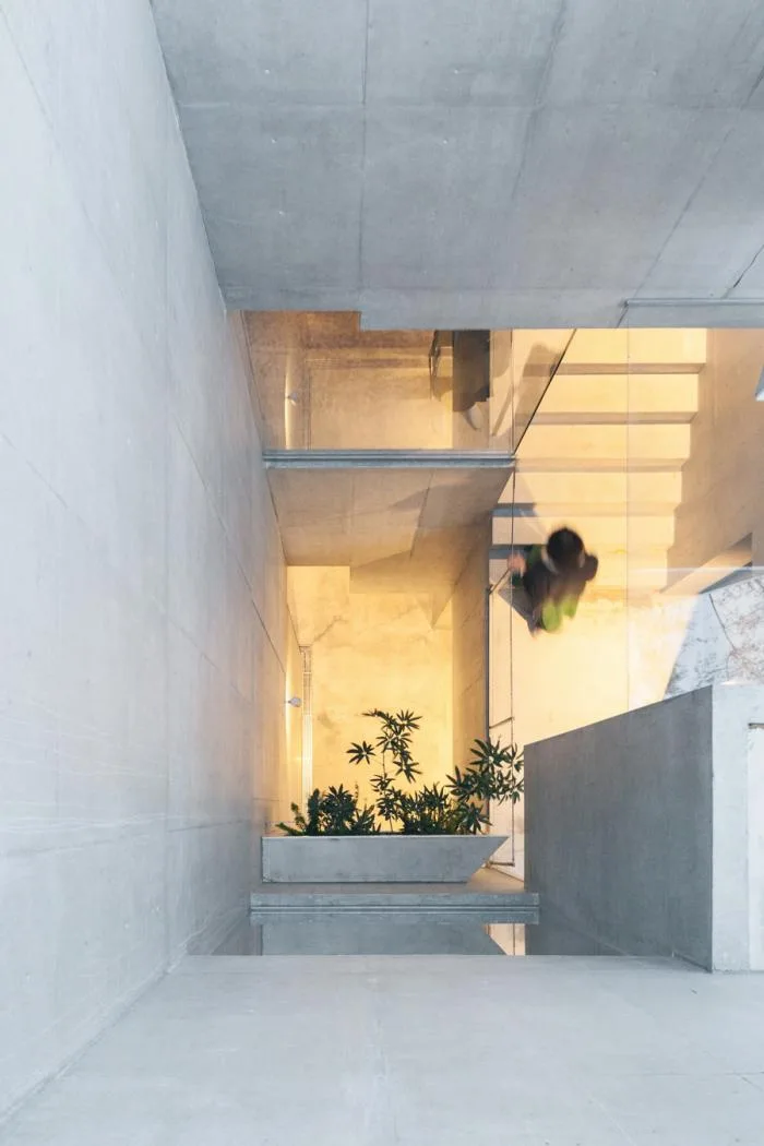 BIM建筑|像树一样生长延伸：日本丰岛画廊住宅 / 平田晃久建筑事务所