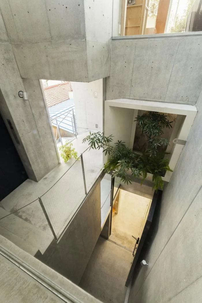 BIM建筑|像树一样生长延伸：日本丰岛画廊住宅 / 平田晃久建筑事务所