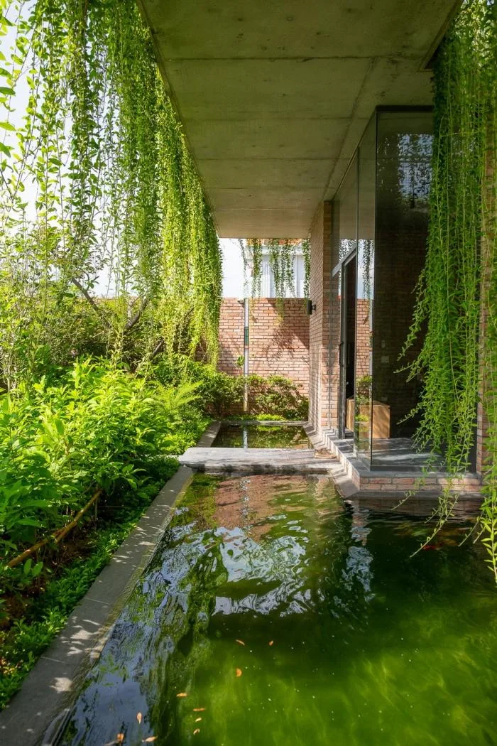 BIM建筑|闲赏庭院，静观游鱼：越南绿幕住宅 / HGAA