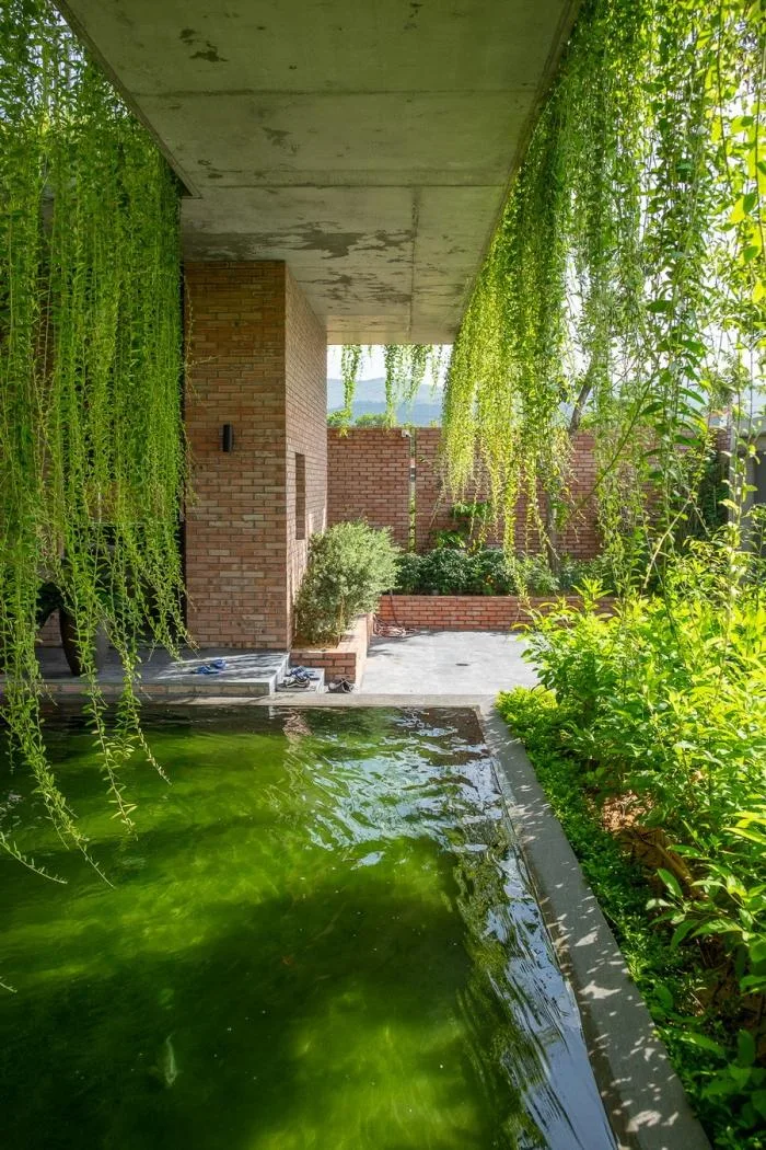 BIM建筑|闲赏庭院，静观游鱼：越南绿幕住宅 / HGAA