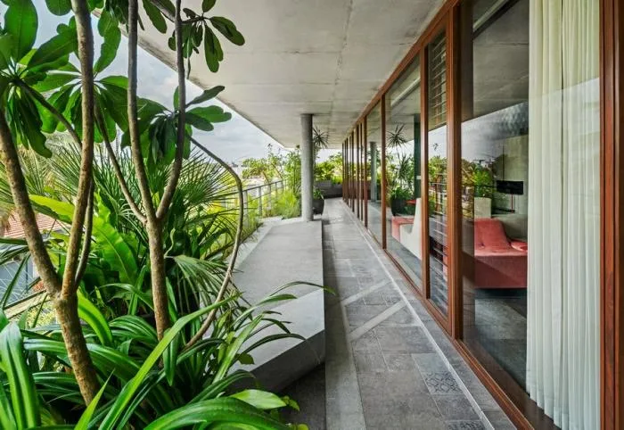 BIM建筑|班加罗尔三角住宅 / Cadence Architects