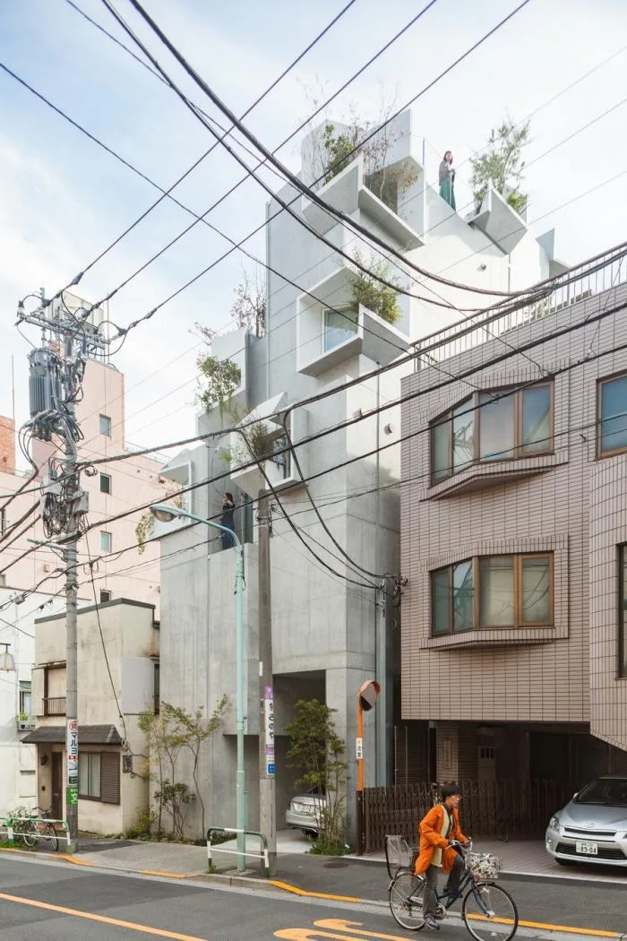BIM建筑|像树一样生长延伸：日本丰岛画廊住宅 / 平田晃久建筑事务所