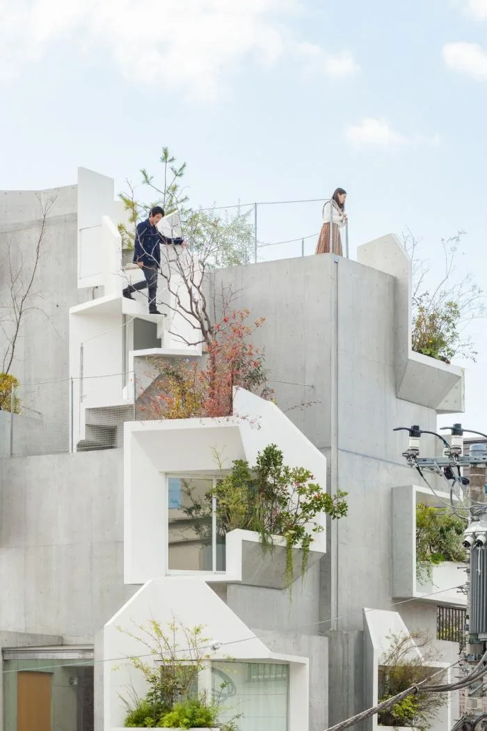 BIM建筑|像树一样生长延伸：日本丰岛画廊住宅 / 平田晃久建筑事务所