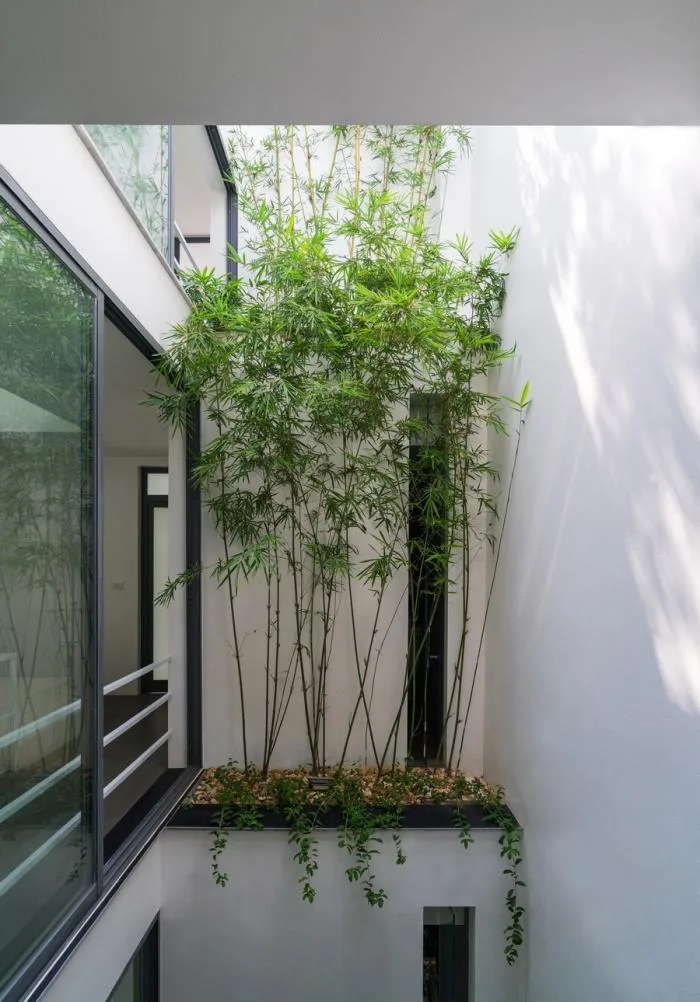 BIM建筑|越南“林中住宅” / Nguyen Khac Phuoc Architects