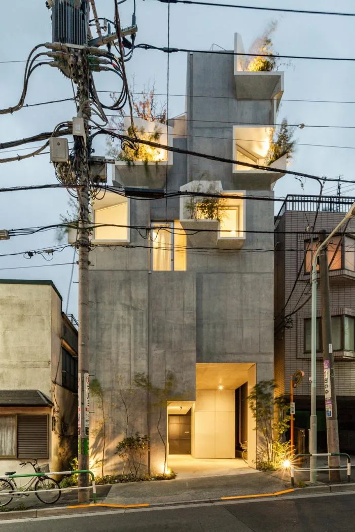 BIM建筑|像树一样生长延伸：日本丰岛画廊住宅 / 平田晃久建筑事务所