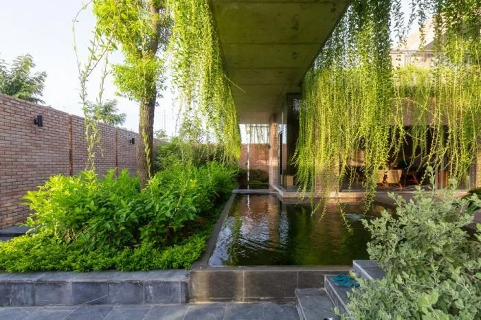 BIM建筑|闲赏庭院，静观游鱼：越南绿幕住宅 / HGAA