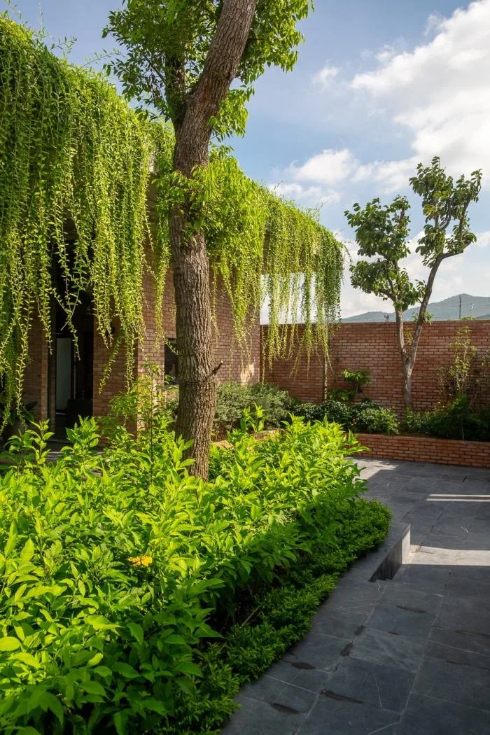 BIM建筑|闲赏庭院，静观游鱼：越南绿幕住宅 / HGAA