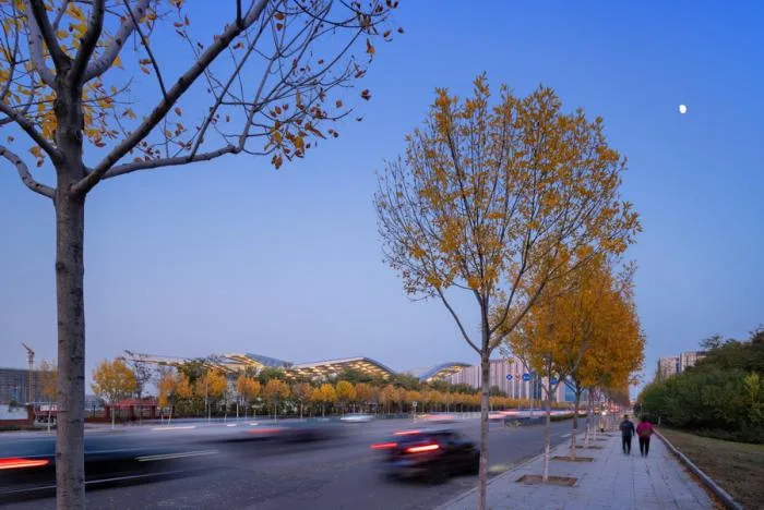 BIM建筑|北京理工大学良乡校区文化体育中心 / 时境建筑