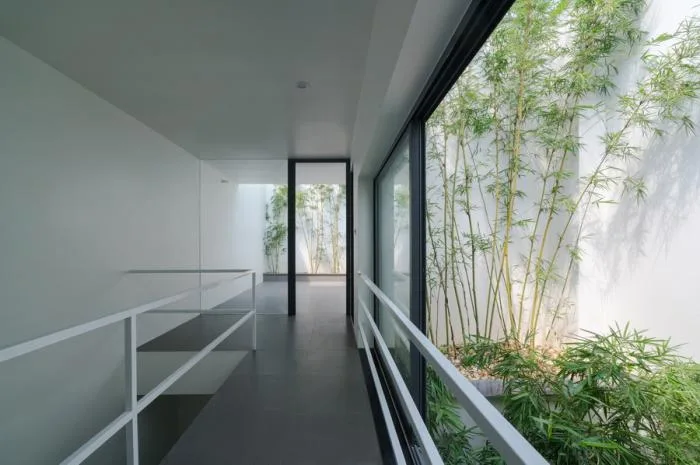 BIM建筑|越南“林中住宅” / Nguyen Khac Phuoc Architects
