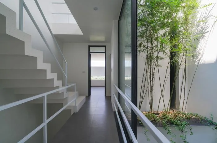 BIM建筑|越南“林中住宅” / Nguyen Khac Phuoc Architects