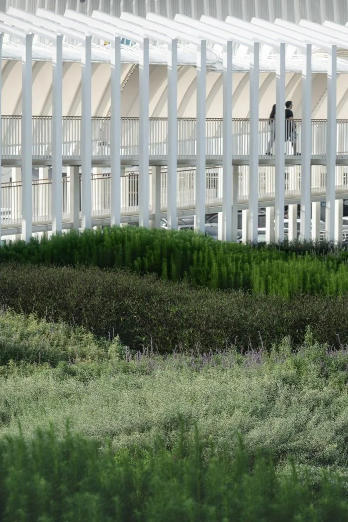 BIM建筑|泰国超级公园 / Architectkidd