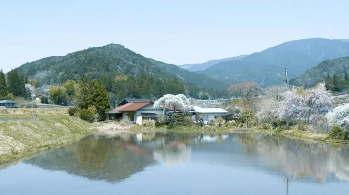 BIM建筑|捕捉日本一座175岁老屋之美