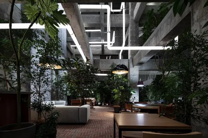 BIM建筑|白井屋酒店 / 藤本壮介建筑事务所