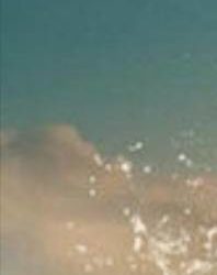 BIM问答|enscape如何加音乐-BIM建筑网