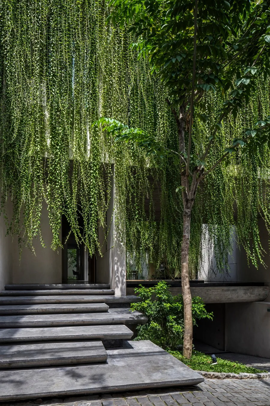 BIM建筑|越南Tan Dinh住宅，简居于“桥上” / MIA Design Studio