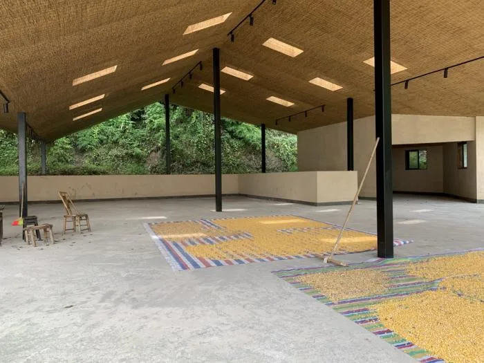 BIM建筑|金城社区五统一公共空间 / 时地建筑工作室
