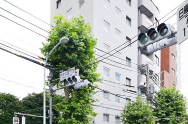 BIM建筑|新宿灯塔宅，消弥公共与私密的界线 / YSLA Architects-BIM建筑网