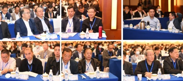 图学会|中国图学学会应用图学专业委员会承办的国家重点研发计划“现代服务业共性关键技术研发及应用示范”重点专项“城市群综合科技服务集成技术研讨与交流会”在成都隆重召开