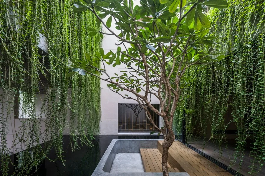BIM建筑|越南Tan Dinh住宅，简居于“桥上” / MIA Design Studio