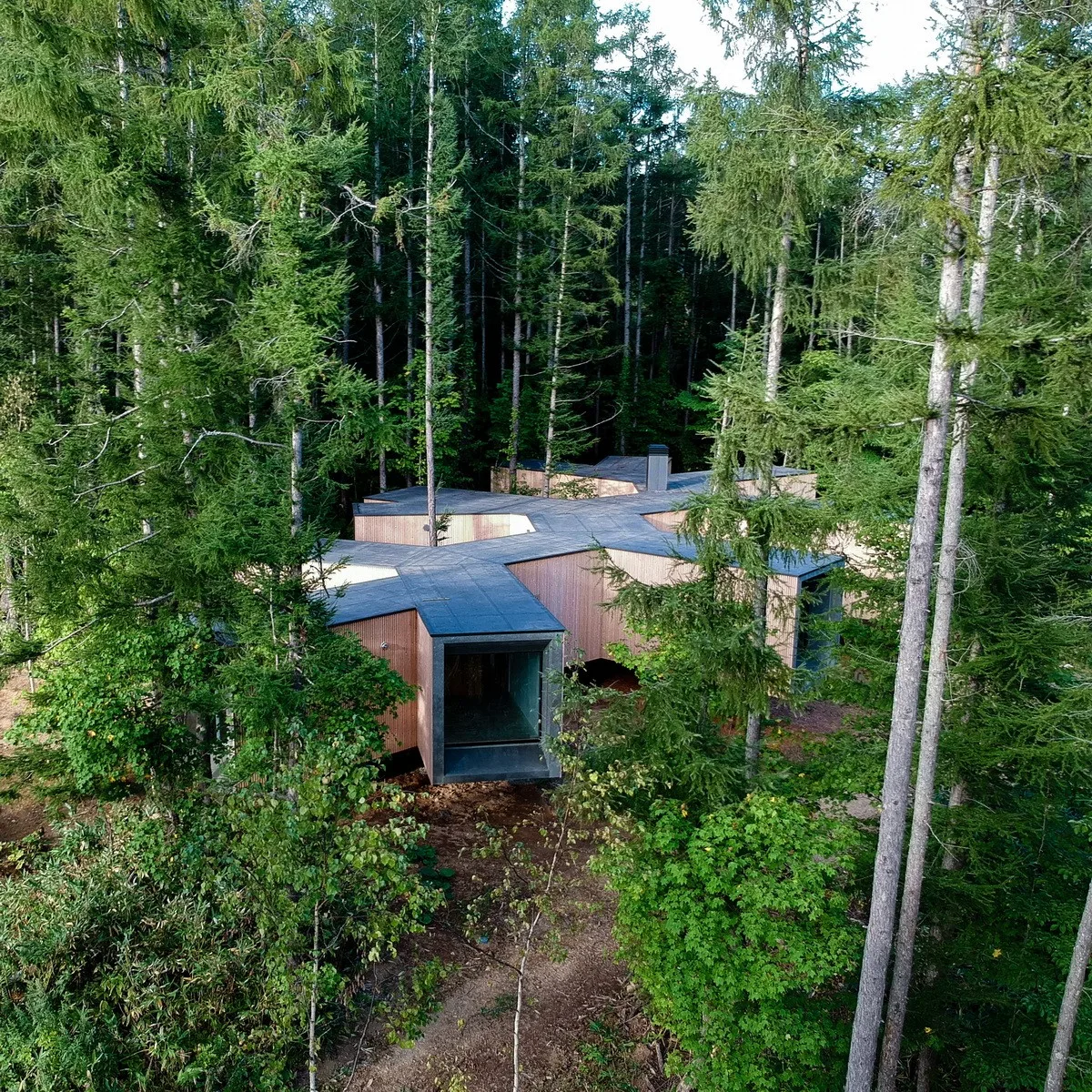BIM建筑|北海道森林小屋，延伸的“触角” / Florian Busch Architects