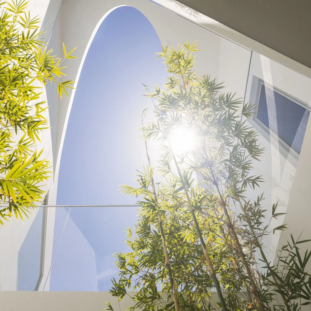 BIM建筑|葡萄牙 Dorfler 住宅，大胆而优雅的曲线 / Vitor Vilhena Arquitectura