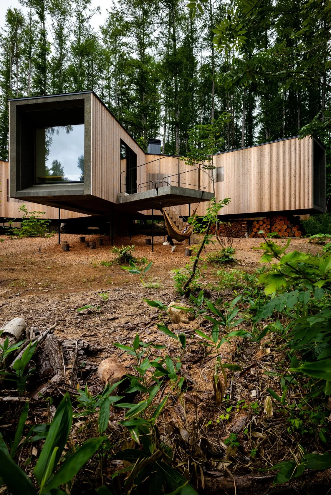 BIM建筑|北海道森林小屋，延伸的“触角” / Florian Busch Architects