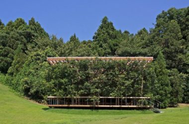 BIM建筑|APL为日本的露天剧场设计树木掩映的门厅-BIM建筑网