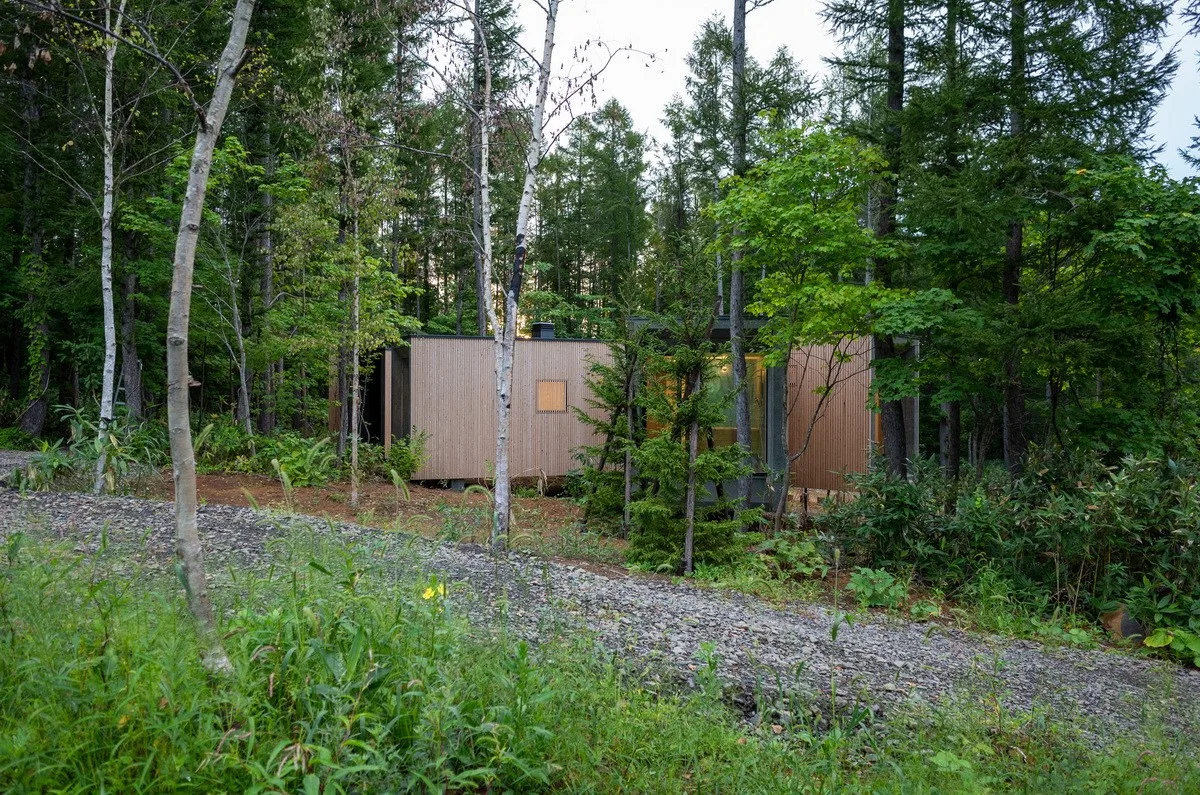 BIM建筑|北海道森林小屋，延伸的“触角” / Florian Busch Architects