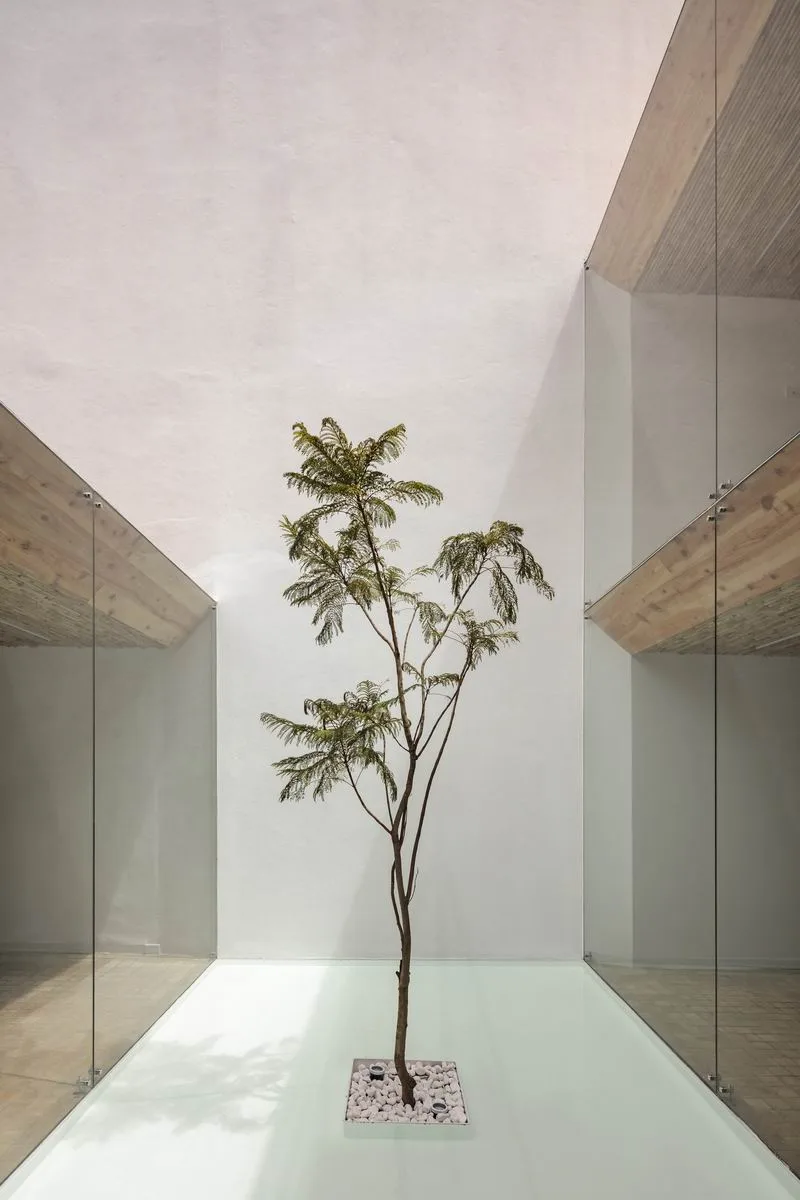 BIM建筑|旧建筑新改造 | 厄瓜多尔玻璃餐厅