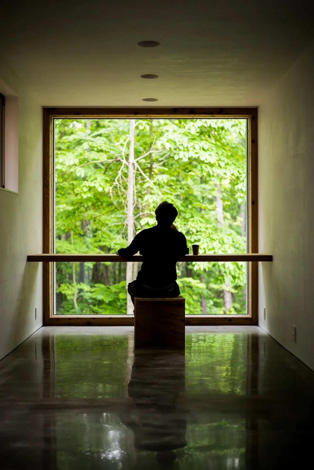 BIM建筑|北海道森林小屋，延伸的“触角” / Florian Busch Architects