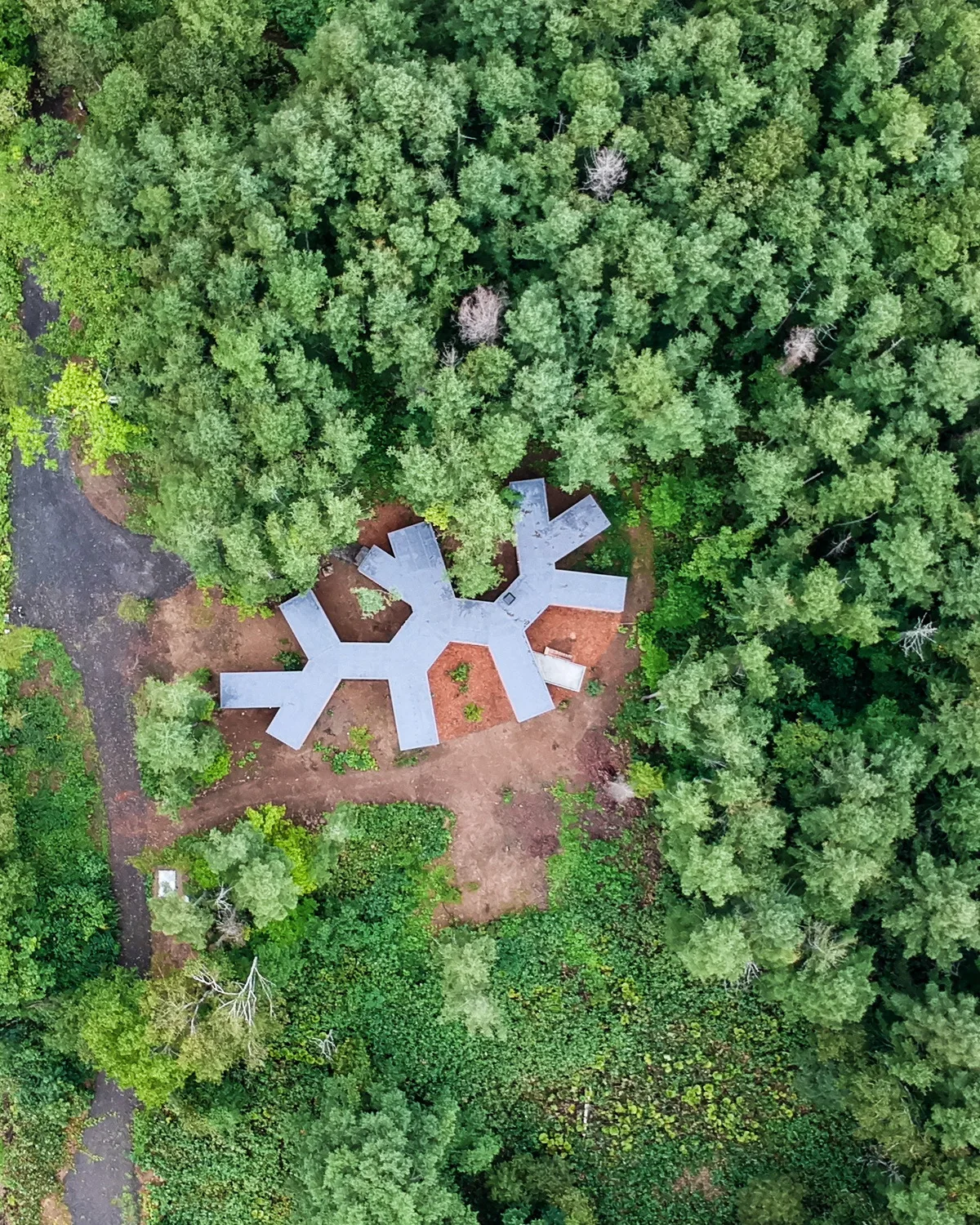 BIM建筑|北海道森林小屋，延伸的“触角” / Florian Busch Architects