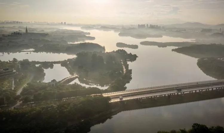 BIM建筑|松山湖科技交流平台 | 迹·建筑事务所(TAO)